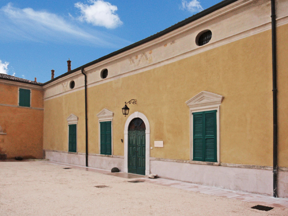 Immagine rappresentativa(11).jpg